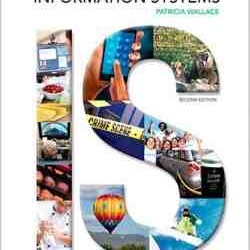 Introduction to Information Systems 2nd Edition