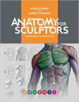 Anatomy for Sculptors, Understanding the Human Figure