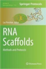RNA Scaffolds Methods and Protocols By Luc Ponchon