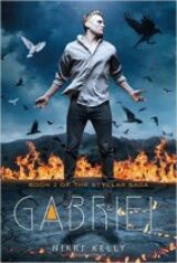 Gabriel The Styclar Saga by Nikki Kelly