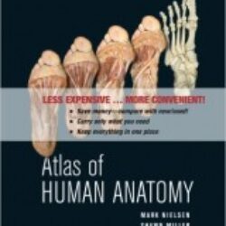 Atlas of Human Anatomy by Mark Nielsen