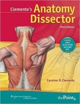 Clementes Anatomy Dissector
