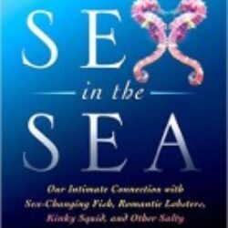 Sex in the Sea Our Intimate Connection with Kinky Crustaceans