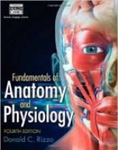 Strength Training Anatomy 3rd Edition Pdf Free Download