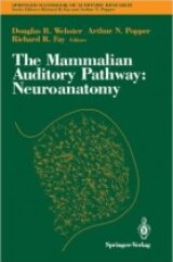 The Mammalian Auditory Pathway Neuroanatomy